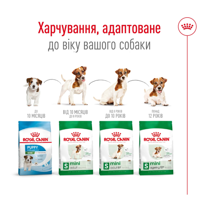 Royal Canin Mini Adult 8+ Сухий корм для зрілих собак малих порід (від 8 років) 800г