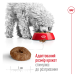 Royal Canin Mini Ageing 12+ Сухий корм для зрілих собак малих розмірів (від 12 років) 800г