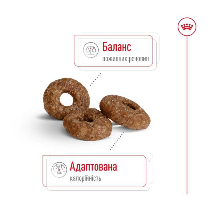 Royal Canin Mini Ageing 12+ Сухий корм для зрілих собак малих розмірів (від 12 років) 800г