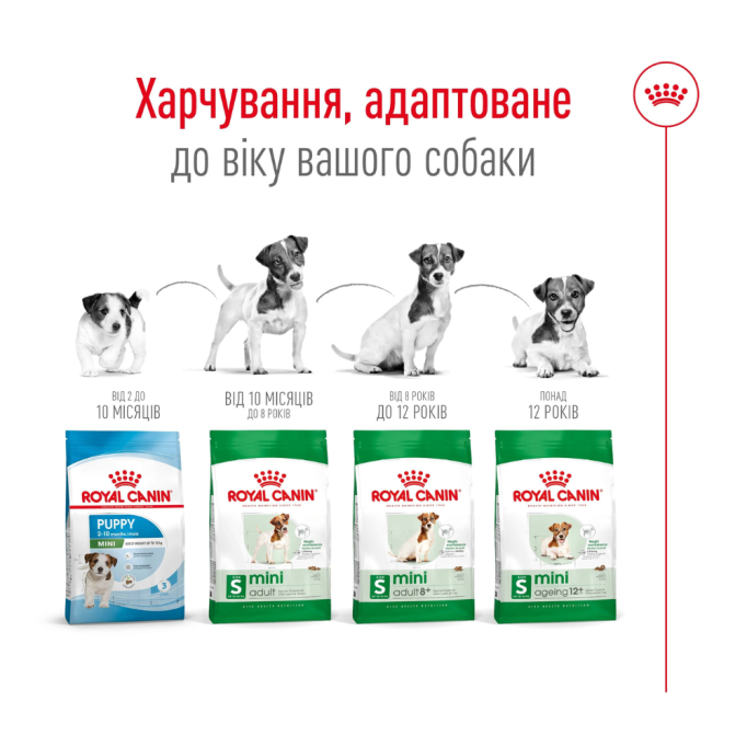 Royal Canin Mini Ageing 12+ Сухий корм для зрілих собак малих розмірів (від 12 років) 800г