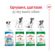 Royal Canin Mini Ageing 12+ Сухий корм для зрілих собак малих розмірів (від 12 років) 800г