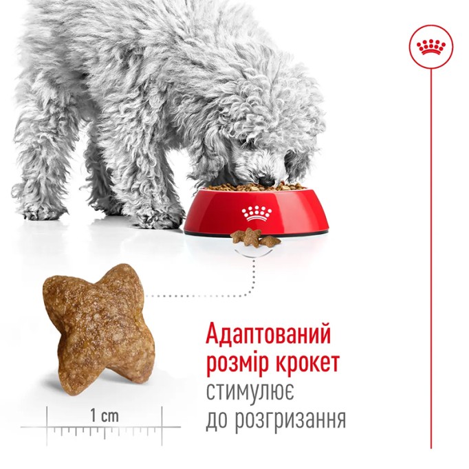 Royal Canin Mini Adult Сухий корм для дорослих собак малих порід 4 кг
