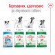 Royal Canin Mini Adult Сухий корм для дорослих собак малих порід 4 кг