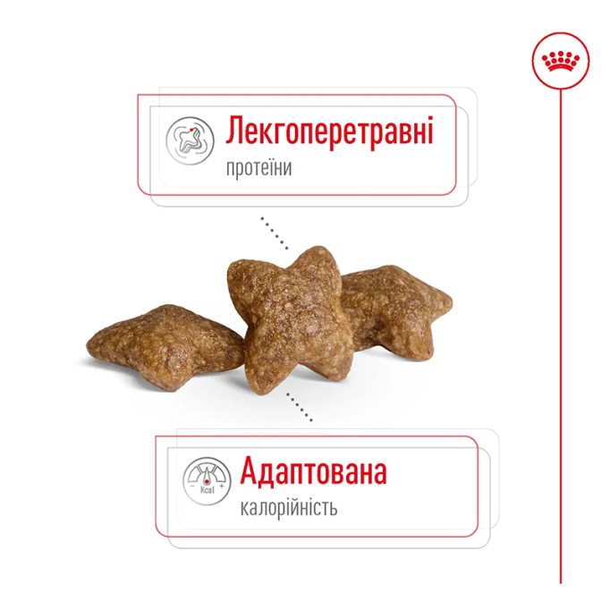 Royal Canin Mini Adult Сухий корм для дорослих собак малих порід 2кг