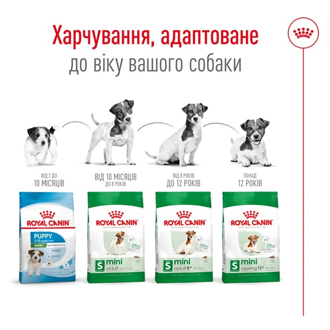 Royal Canin Mini Adult Сухий корм для дорослих собак малих порід 2кг