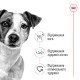 Royal Canin Mini Adult Сухий корм для дорослих собак малих порід 800 г