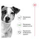 Royal Canin Mini Adult Вологий корм для дорослих собак малих порід (в соусі) 85г 12шт