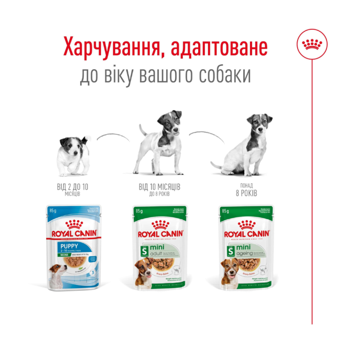 Royal Canin Mini Adult Вологий корм для дорослих собак малих порід (в соусі) 85г 12шт