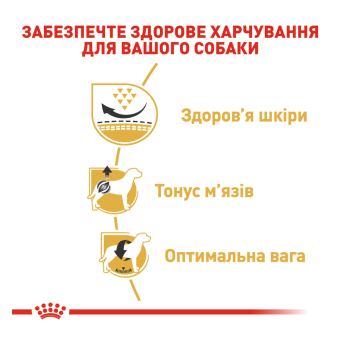 Royal Canin Pug Adult Сухий корм для дорослих собак породи Мопс 3кг