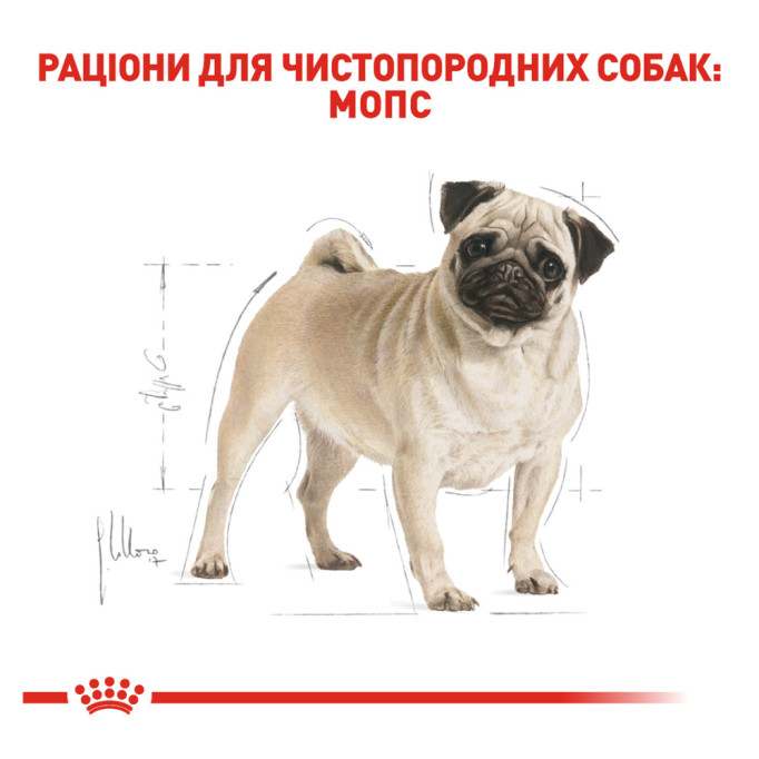 Royal Canin Pug Adult Сухий корм для дорослих собак породи Мопс 3кг