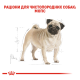 Royal Canin Pug Adult Сухий корм для дорослих собак породи Мопс 3кг