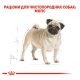 Royal Canin Pug Adult Сухий корм для дорослих собак породи Мопс 1,5кг