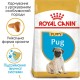 Royal Canin Pug Puppy Сухий корм для цуценят породи Мопс 1,5кг