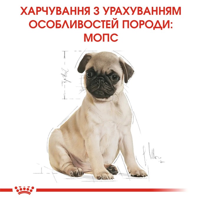 Royal Canin Pug Puppy Сухий корм для цуценят породи Мопс 1.5 кг