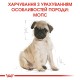 Royal Canin Pug Puppy Сухий корм для цуценят породи Мопс 1.5 кг