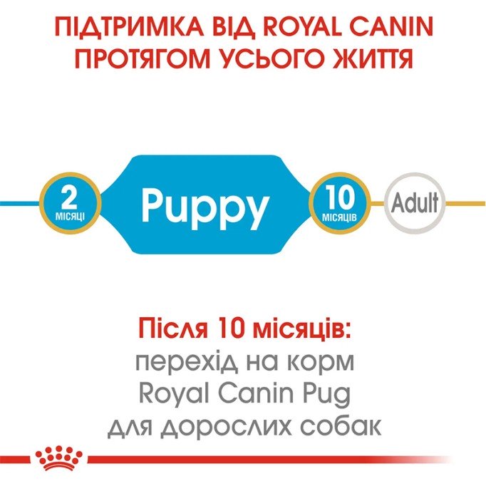 Royal Canin Pug Puppy Сухий корм для цуценят породи Мопс 1,5кг