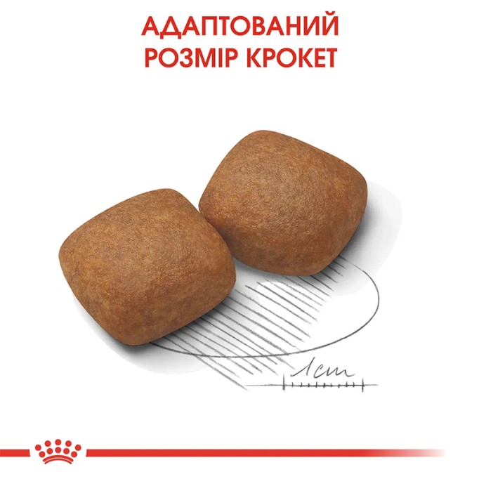 Royal Canin Giant Junior Сухий корм для цуценят і юніорів гігантських порід 15 кг