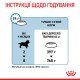 Royal Canin Giant Puppy Сухий корм для цуценят гігантських порід 1кг
