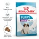 Royal Canin Giant Puppy Сухий корм для цуценят гігантських порід 1кг