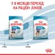 Royal Canin Giant Puppy Сухий корм для цуценят гігантських порід 1 кг
