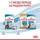 Royal Canin Maxi Starter Сухий корм для цуценят великих порід до 2-х місяців 4 кг