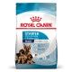 Royal Canin Maxi Starter Сухий корм для цуценят великих порід до 2-х місяців 4кг