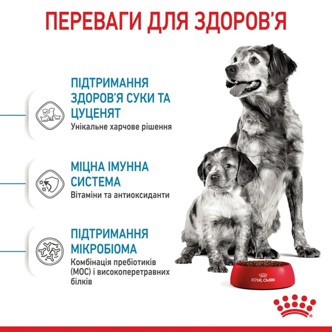 Royal Canin Medium Starter Сухий корм для цуценят середніх порід до 2-х місяців 1 кг