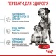 Royal Canin Medium Starter Сухий корм для цуценят середніх порід до 2-х місяців 1 кг