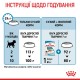 Royal Canin Mini Puppy Сухий корм для цуценят малих порід 2кг