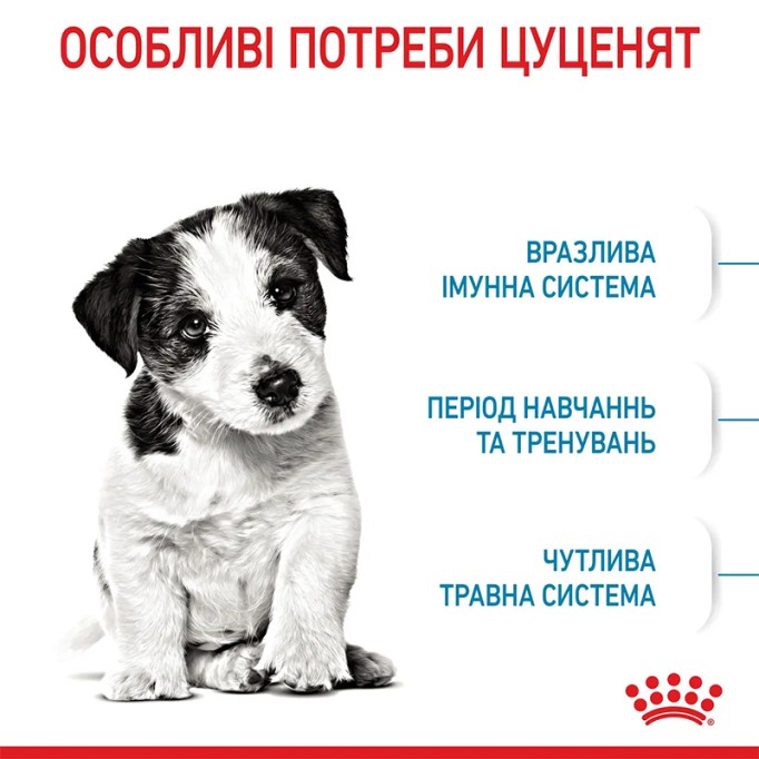 Royal Canin Mini Puppy Сухий корм для цуценят малих порід 800 г