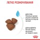 Royal Canin Mini Starter Сухий корм для цуценят малих порід до 2-х місяців 1кг