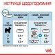 Royal Canin X-Small Puppy Сухий корм для цуценят мініатюрних порід 500г