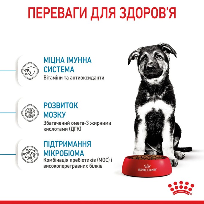 Royal Canin Maxi Puppy Сухий корм для цуценят великих порід 15кг
