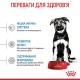 Royal Canin Maxi Puppy Сухий корм для цуценят великих порід 1кг