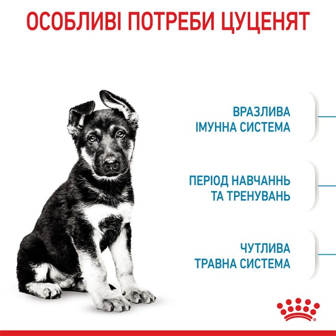 Royal Canin Maxi Puppy Сухий корм для цуценят великих порід 15кг