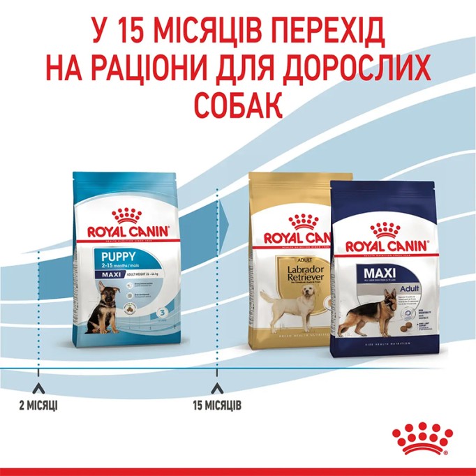 Royal Canin Maxi Puppy Сухий корм для цуценят великих порід 15кг