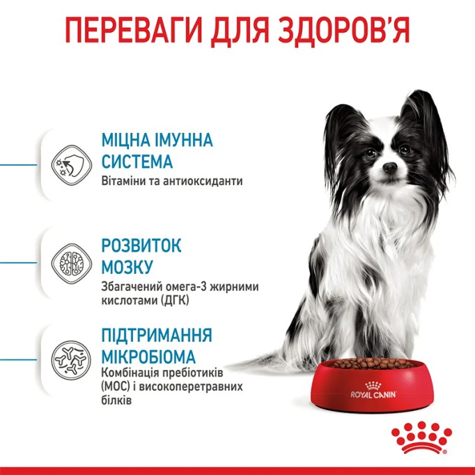 Royal Canin X-Small Puppy Сухий корм для цуценят мініатюрних порід 500г
