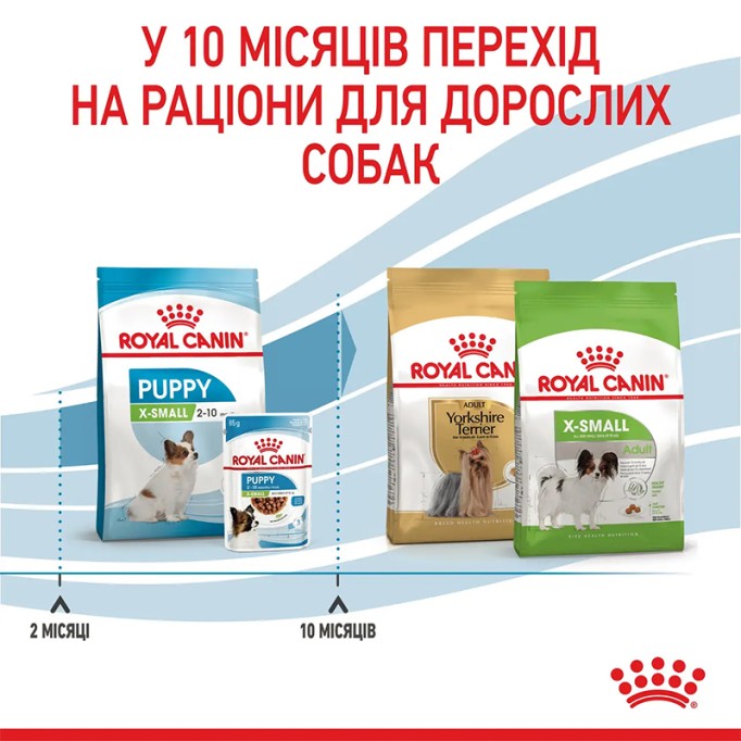 Royal Canin X-Small Puppy Сухий корм для цуценят мініатюрних порід 500г