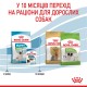 Royal Canin X-Small Puppy Сухий корм для цуценят мініатюрних порід 500г