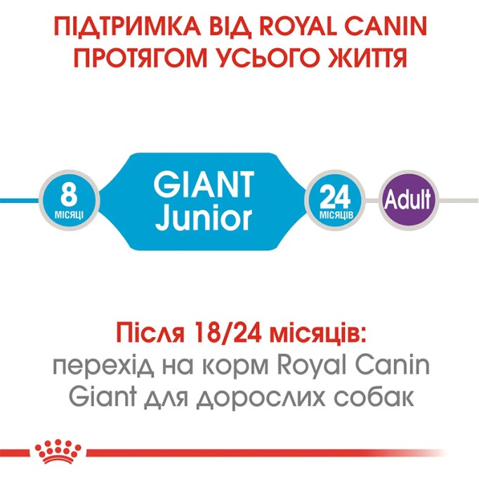 Royal Canin Giant Junior Сухий корм для цуценят і юніорів гігантських порід 15кг