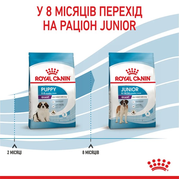 Royal Canin Giant Puppy Сухий корм для цуценят гігантських порід 15 кг