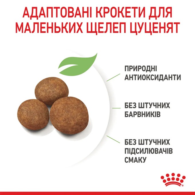 Royal Canin Maxi Puppy Сухий корм для цуценят великих порід 4 кг