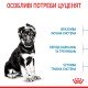 Royal Canin Maxi Puppy Сухий корм для цуценят великих порід 4 кг