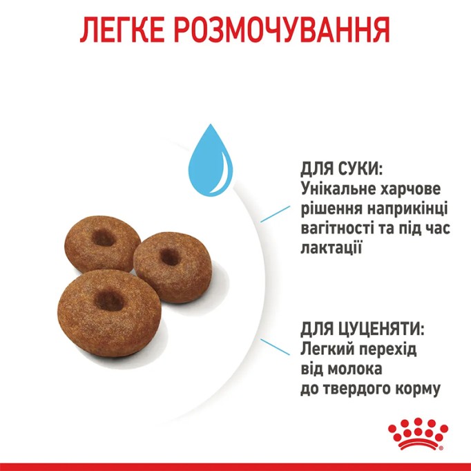 Royal Canin Maxi Starter Сухий корм для цуценят великих порід до 2-х місяців 4кг