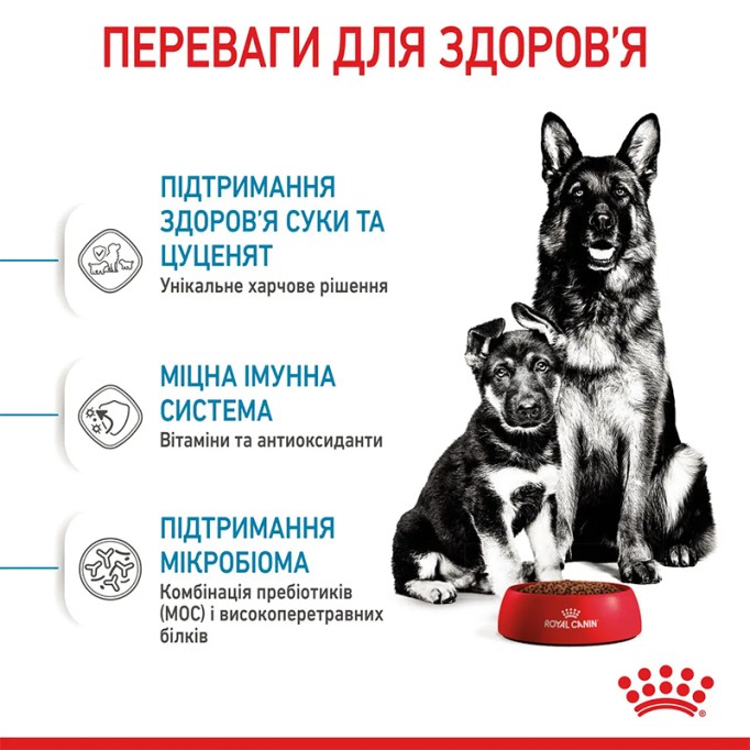 Royal Canin Maxi Starter Сухий корм для цуценят великих порід до 2-х місяців 4кг
