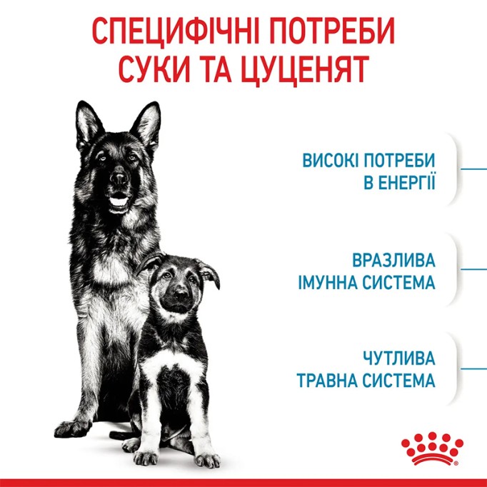 Royal Canin Maxi Starter Сухий корм для цуценят великих порід до 2-х місяців 4кг