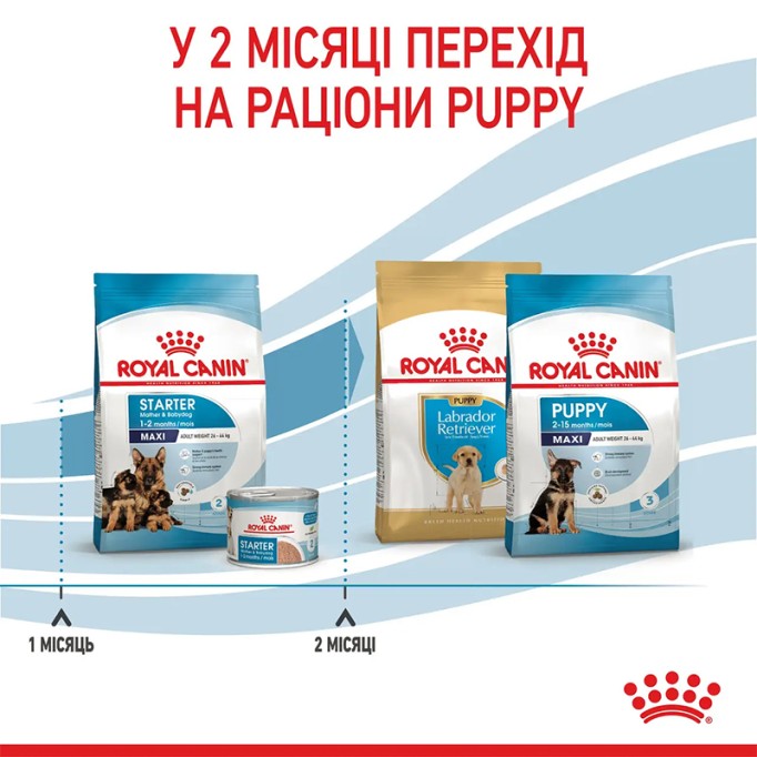 Royal Canin Maxi Starter Сухий корм для цуценят великих порід до 2-х місяців 4кг