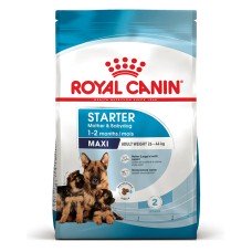 Royal Canin Maxi Starter Сухий корм для цуценят великих порід до 2-х місяців 4 кг