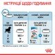 Royal Canin Medium Puppy Сухий корм для цуценят середніх порід 15 кг