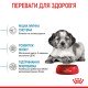Royal Canin Medium Puppy Сухий корм для цуценят середніх порід 15 кг